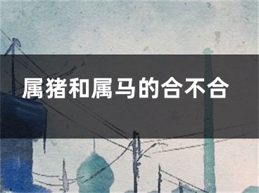 属猪和属马的合不合