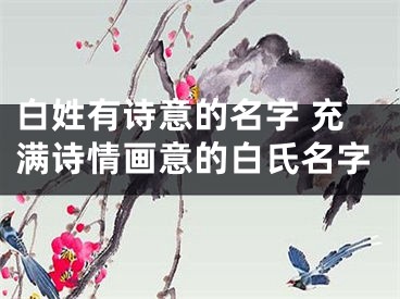 白姓有诗意的名字 充满诗情画意的白氏名字