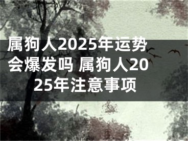 属狗人2025年运势会爆发吗 属狗人2025年注意事项