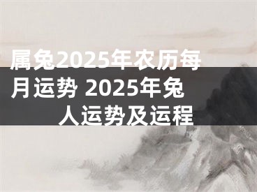 属兔2025年农历每月运势 2025年兔人运势及运程