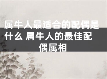 属牛人最适合的配偶是什么 属牛人的最佳配偶属相