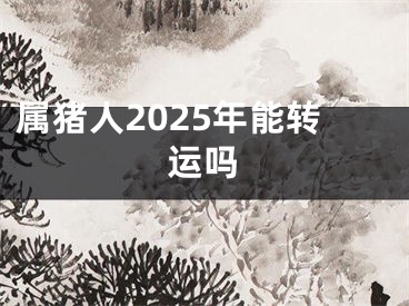 属猪人2025年能转运吗