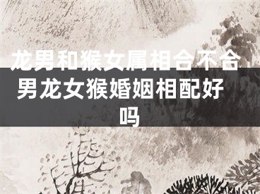 龙男和猴女属相合不合 男龙女猴婚姻相配好吗