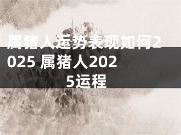属猪人运势表现如何2025 属猪人2025运程