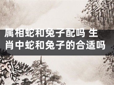 属相蛇和兔子配吗 生肖中蛇和兔子的合适吗