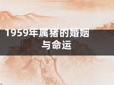 1959年属猪的婚姻与命运