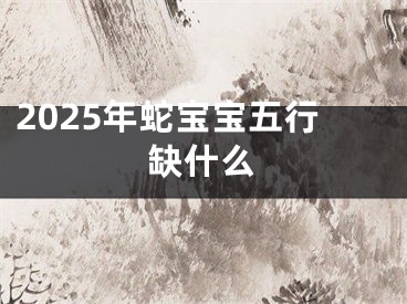 2025年蛇宝宝五行缺什么