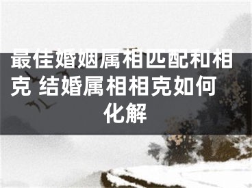 最佳婚姻属相匹配和相克 结婚属相相克如何化解