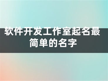 软件开发工作室起名最简单的名字