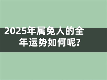 2025年属兔人的全年运势如何呢?