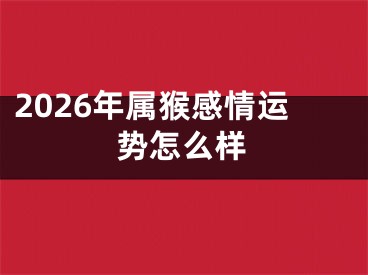 2026年属猴感情运势怎么样