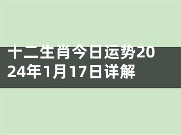十二生肖今日运势2024年1月17日详解