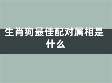 生肖狗最佳配对属相是什么