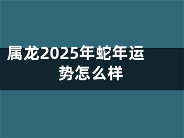 属龙2025年蛇年运势怎么样