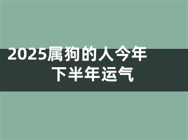2025属狗的人今年下半年运气