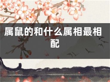 属鼠的和什么属相最相配