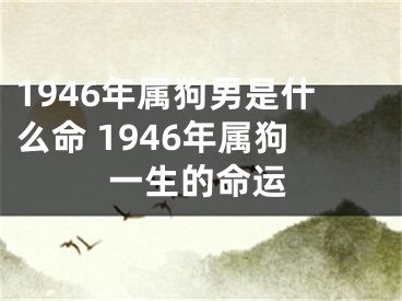 1946年属狗男是什么命 1946年属狗一生的命运