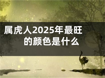 属虎人2025年最旺的颜色是什么