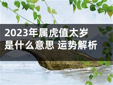 2023年属虎值太岁是什么意思 运势解析