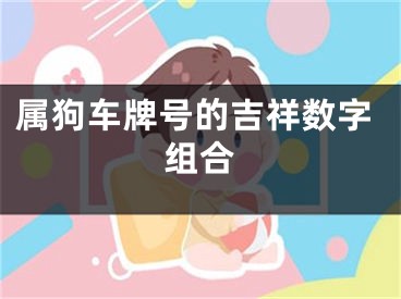 属狗车牌号的吉祥数字组合