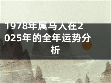 1978年属马人在2025年的全年运势分析