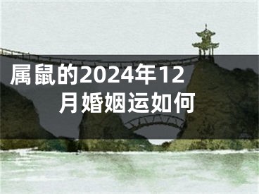 属鼠的2024年12月婚姻运如何