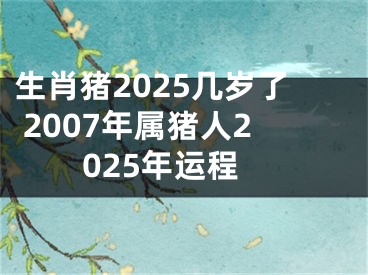 生肖猪2025几岁了 2007年属猪人2025年运程