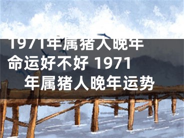 1971年属猪人晚年命运好不好 1971年属猪人晚年运势