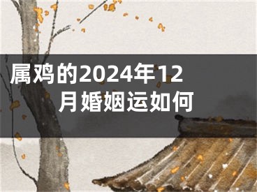 属鸡的2024年12月婚姻运如何