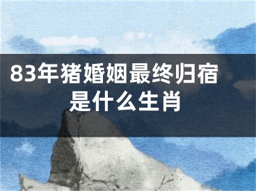 83年猪婚姻最终归宿是什么生肖