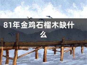 81年金鸡石榴木缺什么