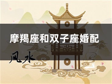 摩羯座和双子座婚配
