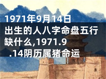 1971年9月14日出生的人八字命盘五行缺什么,1971.9.14阴历属猪命运