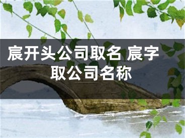 宸开头公司取名 宸字取公司名称