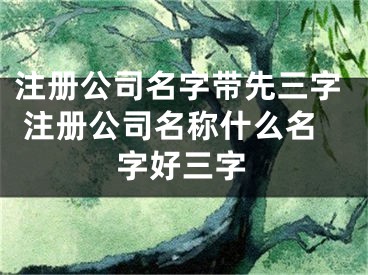 注册公司名字带先三字 注册公司名称什么名字好三字