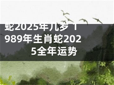 蛇2025年几岁 1989年生肖蛇2025全年运势
