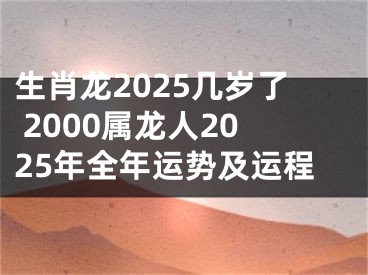 生肖龙2025几岁了 2000属龙人2025年全年运势及运程