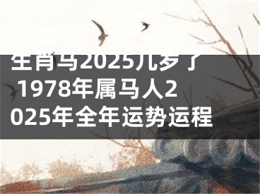 生肖马2025几岁了 1978年属马人2025年全年运势运程