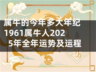 属牛的今年多大年纪 1961属牛人2025年全年运势及运程