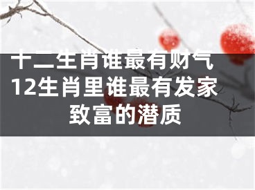 十二生肖谁最有财气 12生肖里谁最有发家致富的潜质