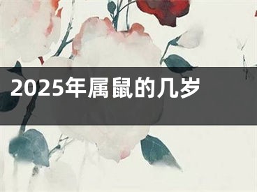 2025年属鼠的几岁