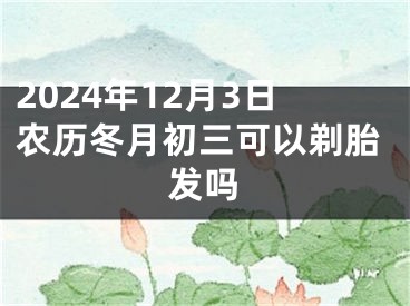 2024年12月3日农历冬月初三可以剃胎发吗