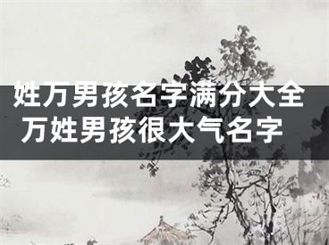 姓万男孩名字满分大全 万姓男孩很大气名字