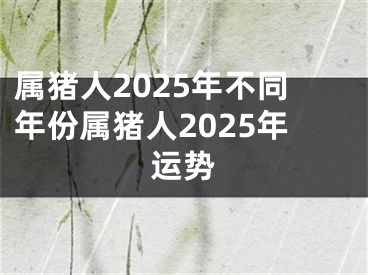 属猪人2025年不同年份属猪人2025年运势