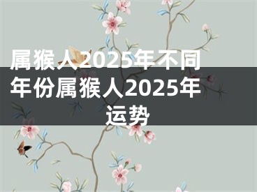 属猴人2025年不同年份属猴人2025年运势