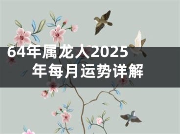 64年属龙人2025年每月运势详解