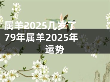 属羊2025几岁了 79年属羊2025年运势