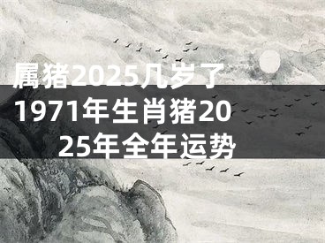 属猪2025几岁了 1971年生肖猪2025年全年运势