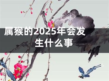 属猴的2025年会发生什么事