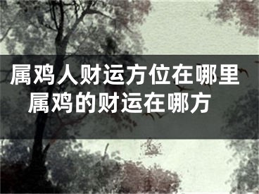 属鸡人财运方位在哪里 属鸡的财运在哪方